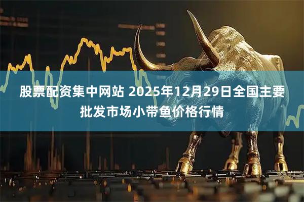 股票配资集中网站 2025年12月29日全国主要批发市场小带鱼价格行情